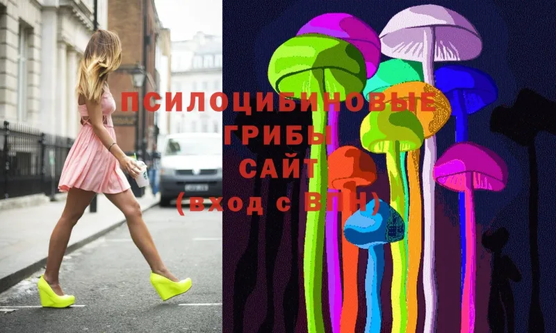 хочу наркоту  omg ССЫЛКА  Псилоцибиновые грибы Psilocybine cubensis  Переславль-Залесский 